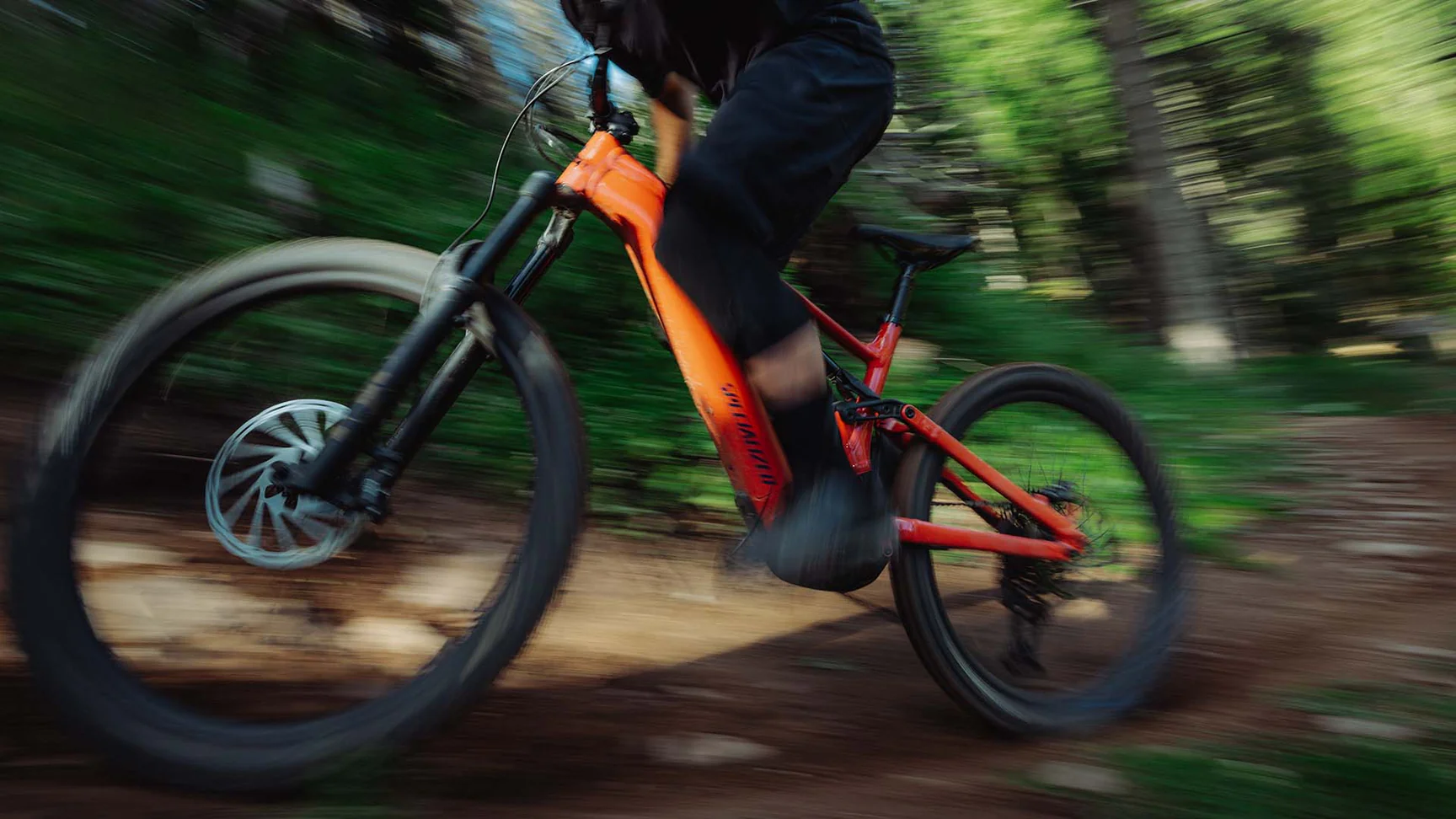 Ride the Blue Ridge Trails